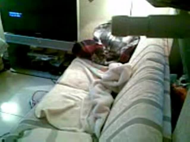 Eccitante masturbazione di una studentessa