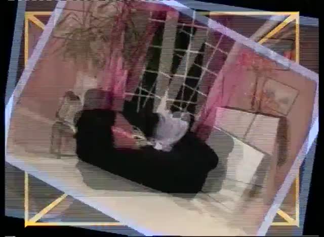 golosa mammina porca viene scopata in cucina