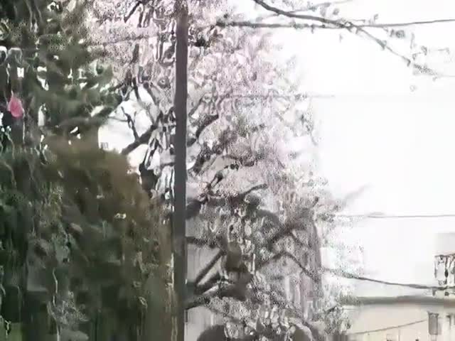 zoccola bionda battona matura 